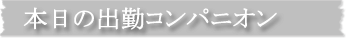 本日出勤のコンパニオン