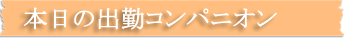 本日出勤のコンパニオン